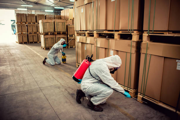 Best Pest Control for Homes  in Mansfield, LA