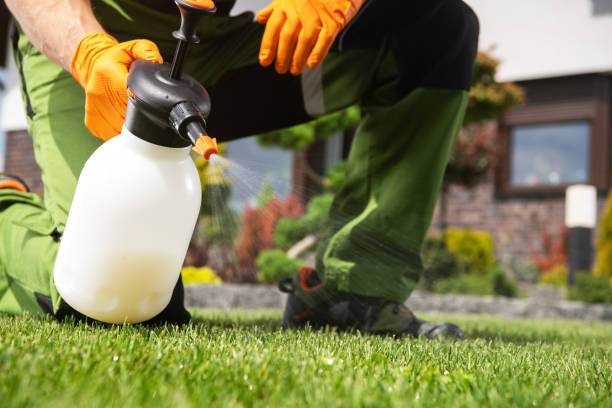 Best Local Pest Control Services  in Mansfield, LA