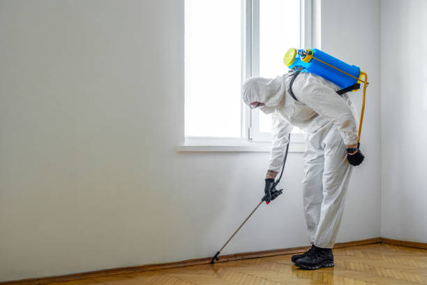 Best Commercial Pest Control Services  in Mansfield, LA