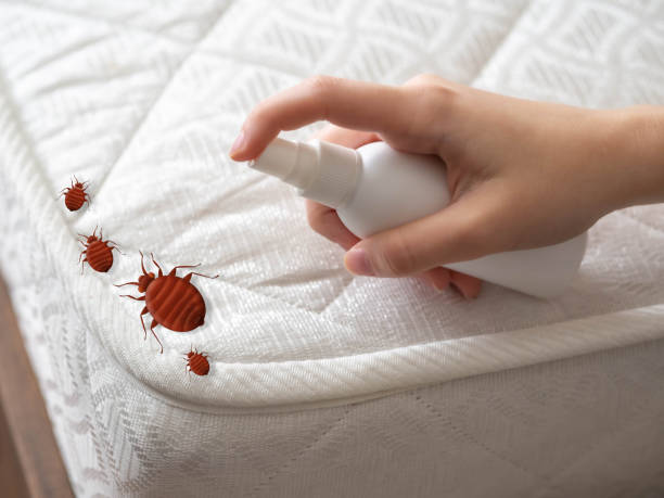 Best Best Pest Control Companies  in Mansfield, LA