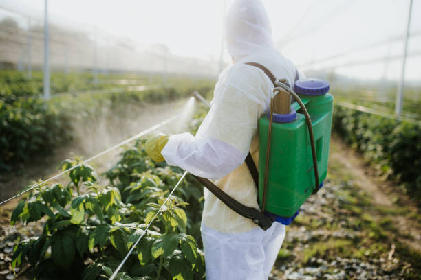 Best Mosquito Control Services  in Mansfield, LA
